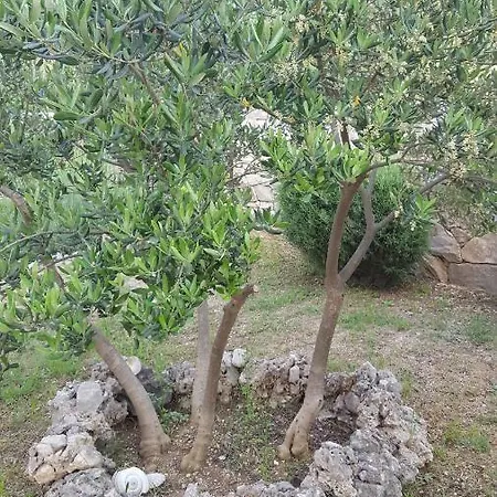 Lejlighed Babic Rituals *