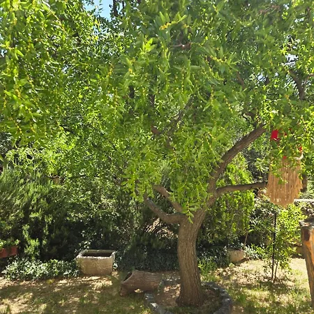 Babic Rituals Makarska