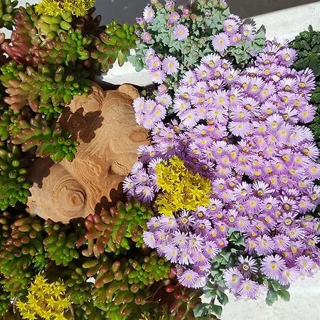 Babic Rituals Appartement