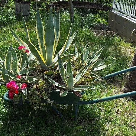 Appartement Babic Rituals Makarska