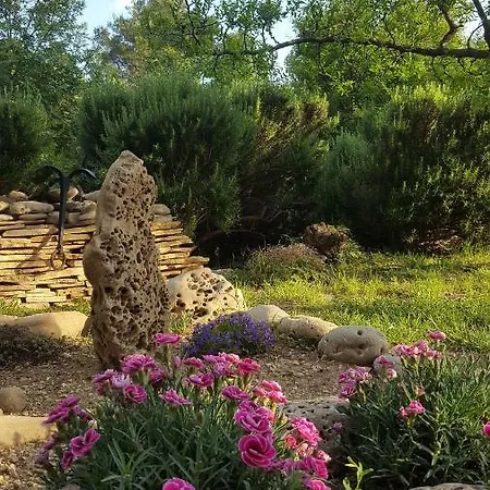 Babic Rituals Lägenhet