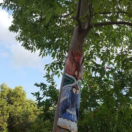 Babic Rituals * Makarska