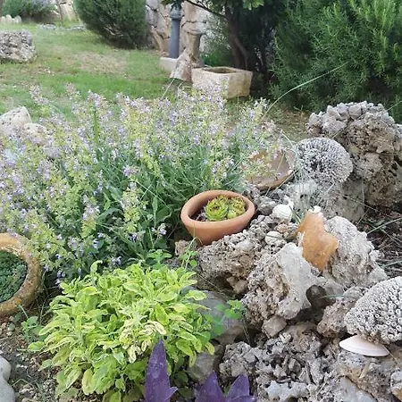 Babic Rituals Appartement