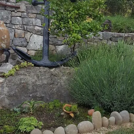 Babic Rituals Makarska