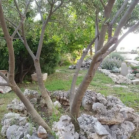 Babic Rituals Lägenhet *