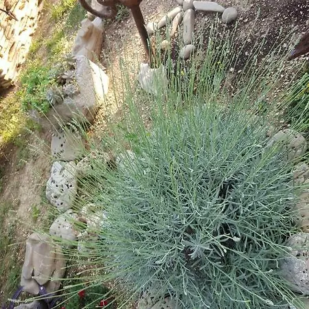 Babic Rituals Lägenhet