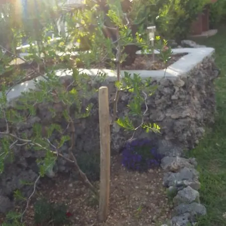 Babic Rituals Makarska