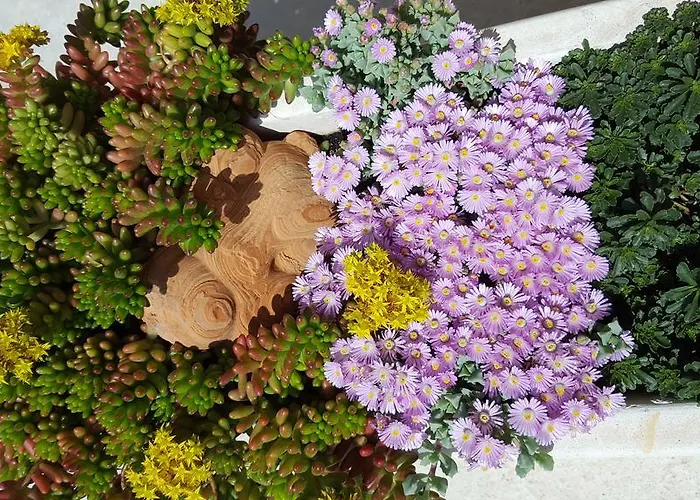 Babic Rituals Appartamento