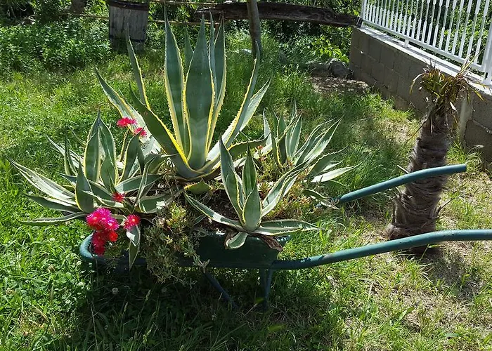 Apartment Babic Rituals Makarska