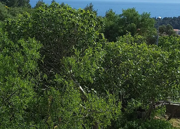 Babic Rituals Appartamento Makarska