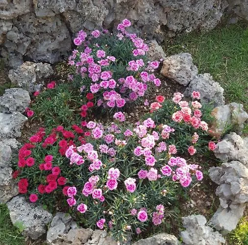 Babic Rituals Appartamento