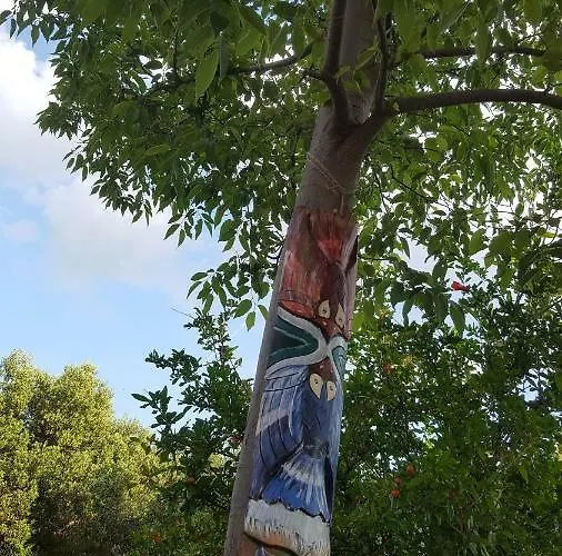 Babic Rituals * Makarska