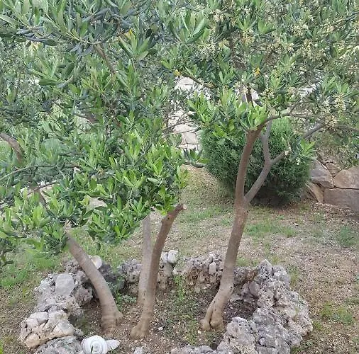 Appartamento Babic Rituals *