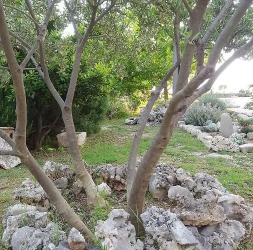 Babic Rituals Apartment *