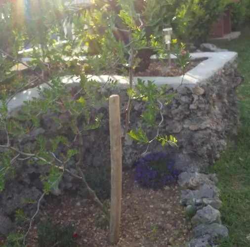 Babic Rituals Makarska