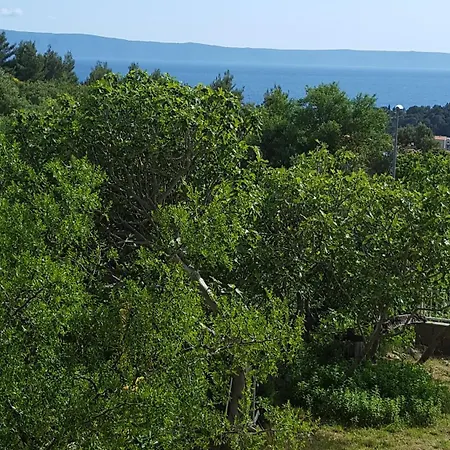 Babic Rituals Apartment Makarska