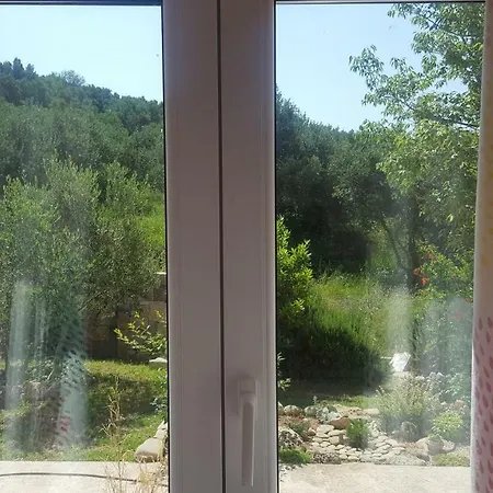 Babic Rituals * Makarska