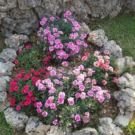 Babic Rituals Apartmán