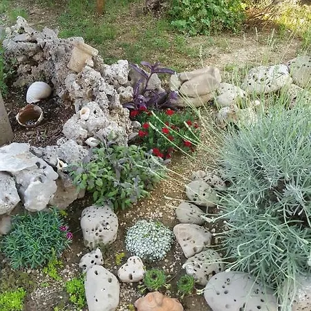 Babic Rituals Makarská