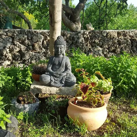 Apartment Babic Rituals Makarska